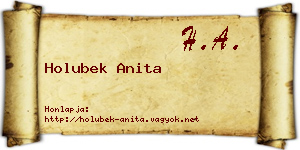 Holubek Anita névjegykártya